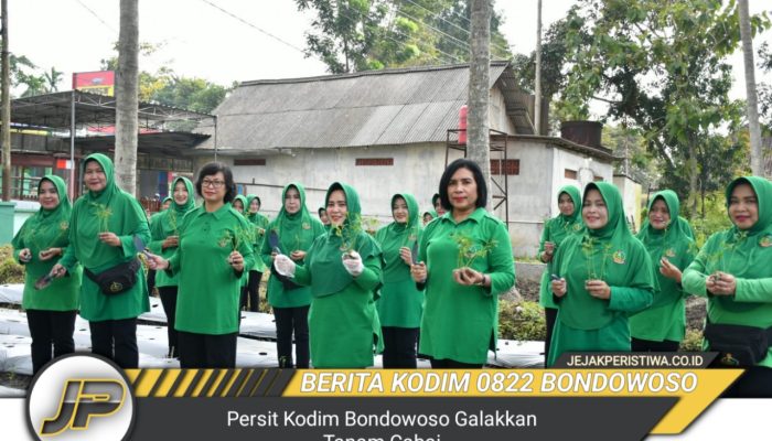 Persit Kodim Bondowoso Galakkan Tanam Cabai