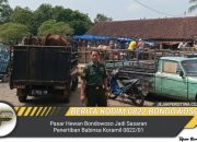 Pasar Hewan Bondowoso Jadi Sasaran Penertiban Babinsa Koramil 0822/01