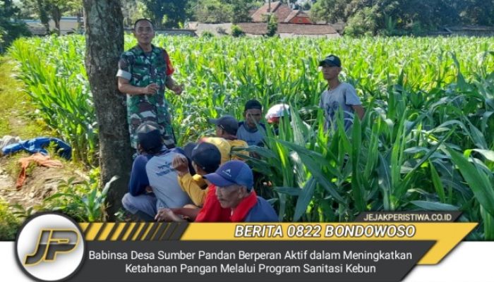 Babinsa Desa Sumber Pandan Berperan Aktif dalam Meningkatkan Ketahanan Pangan Melalui Program Sanitasi Kebun