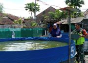 Babinsa Bataan Dukung Pengembangan Budidaya Ikan Lele