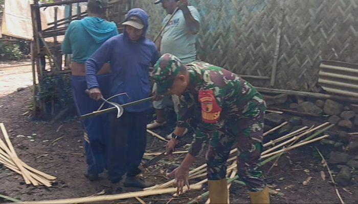 Tanamkan Jiwa Gotong Royong Babinsa Tegal Ampel Luangkan Waktu Bantu Warga Bangun Rumah