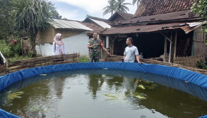 Serda Nuryoko bersama PPL dalam giat pendampingan Hanpangan Budidaya Ikan Lele dengan sistem Bio Flog