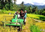 Babinsa Wonosari Bantu Panen Padi dengan Mesin Modern, Warga Merasa Terbantu