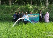 Babinsa Koramil Grujugan Damping Petani Lakukan Pompanisasi Lahan Pertanian