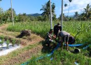 Babinsa Klabang Agung dan Program Pompanisasi Membanjiri Petani dengan Keberhasilan!