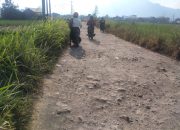 Jalan Penghubung Antar Kecamatan, Rusak Parah Luput Dari Perbaikan Pemerintah