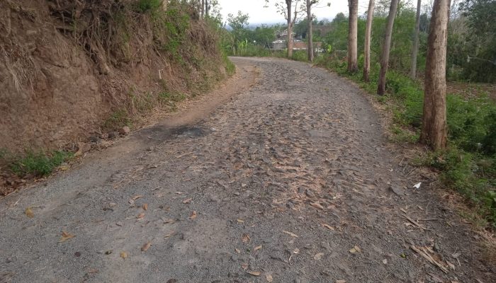 Masyarakat Desa Gentong Butuh Perhatian Pemkab ” Memimpikan Jalan Beraspal “