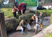 Dinas Perikanan Kolaborasi Dengan Satgas TMMD ke-123 Kodim 0822 Tebar 4.400 Benih Ikan Nila di Desa Trotosari