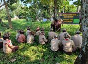 Semangat Bela Negara, Persami Saka Wira Kartika Kodim 0822 Bondowoso Cetak Generasi Tangguh