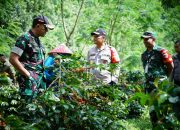 Dandim 0822 Bondowoso Dampingi Pangdam V/Brawijaya dan Kapolda Jatim di Lokasi Panen Raya Kopi Bersama Wapres RI