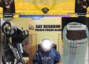 Remaja Tertangkap Tangan Curi Buah Kopi di Pagaralam, Pelaku Diamankan Warga dan Diserahkan ke Polisi