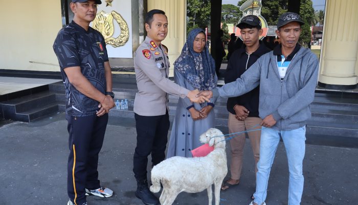 Korban Curhewan Merasa Senang Ternaknya di Temukan dan di Kembalikan Gratis oleh Polres Bondowoso