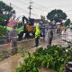 Polsek Kota Bondowoso “Gercep” Evakuasi Pohon tumbang
