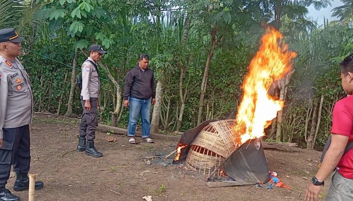 Polres Malang Bongkar Arena Judi Sabung Ayam di Kalipare
