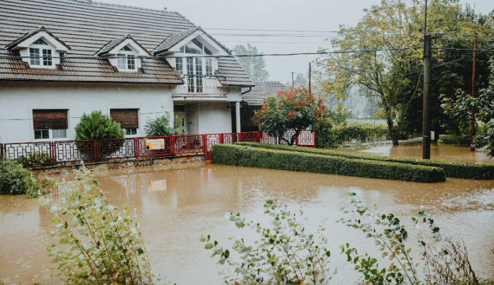 Upaya Perawatan Dinding Pascabanjir, Simak di Sini!